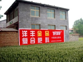  泾阳如何让墙体广告展现最大化效果