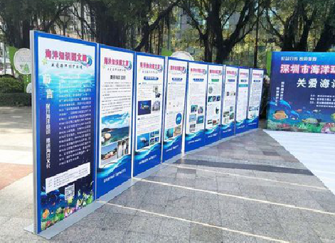  泾阳KT板的种类和知识。